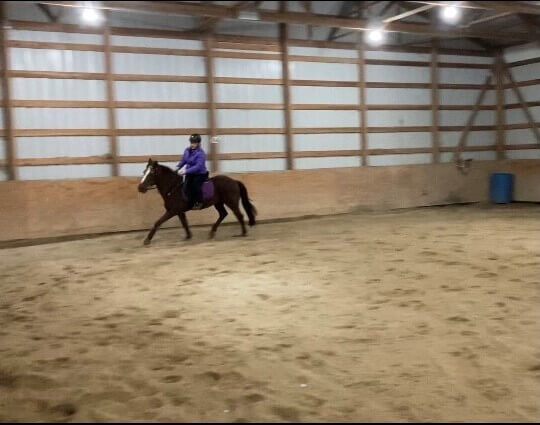 A person horseback riding in an arena with clear air, thanks to dust control applied by Gasaway Maintenance Company.